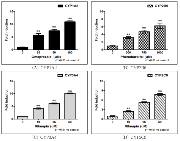 표준유도약물 처리에 따른 CYP450 유전자발현 측정 결과.