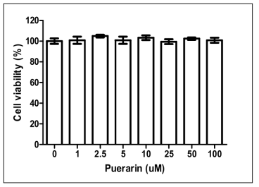 Puerarin 세포독성 측정 결과.