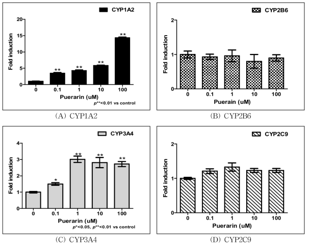 Puerarin 처리에 따른 CYP450 유전자발현측정 결과.
