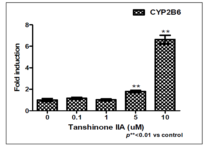 Tanshinone IIΑ 처리에 따른 CYP2B6 유전자발현측정 결과.