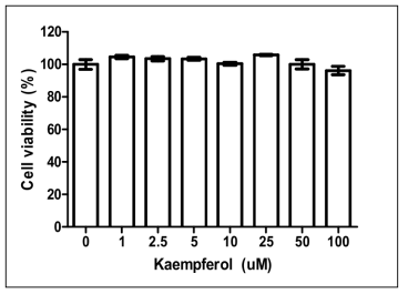Kaempferol 세포독성 측정 결과.
