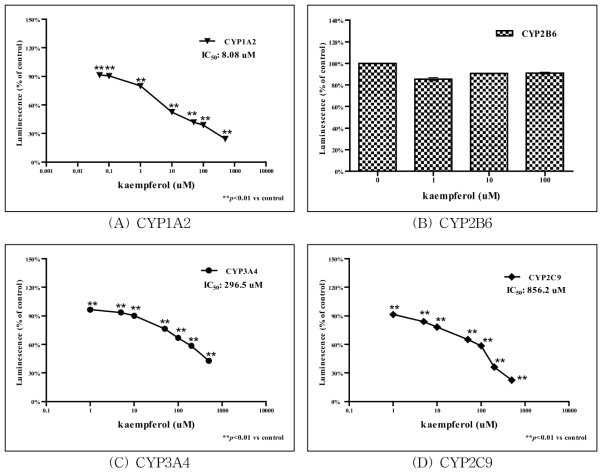 Kaempferol 처리에 따른 CYP450 활성 측정 결과.