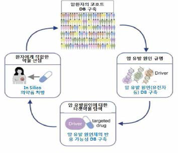 In silico 기법을 이용한 항암제 처방