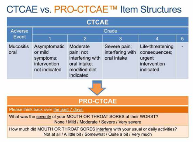 CTCAE와 PRO-CTCAE 문항 구조 비교