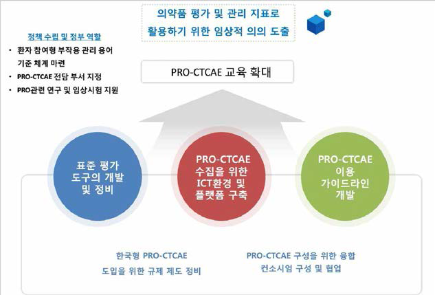 PRO-CTCAE 국내도입을 위한 세부 개선 방안 전략 모색