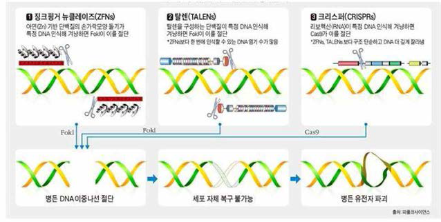 유전자 편집기술