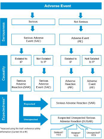 Safety Reporting Definitions Flowchart: Investigational Product Trials