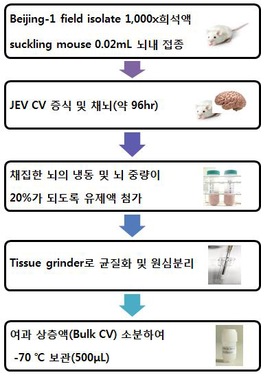 표준바이러스 후보물질 제조