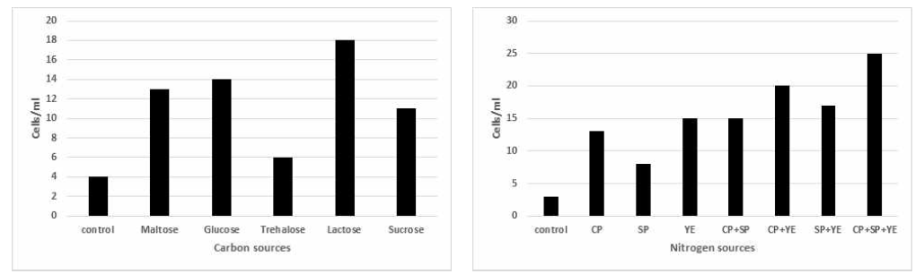 탄소원, 질소원 배지 최적화에 따른 생산성 비교 평가