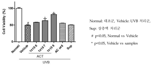 UVB 처리 후 세포 생존율