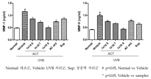 MMP-1, MMP-9 발현량