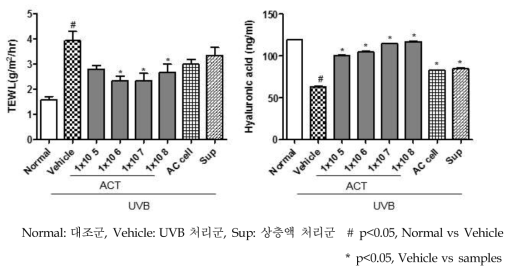 경피수분손실량, 히알루론산의 발현량 측정