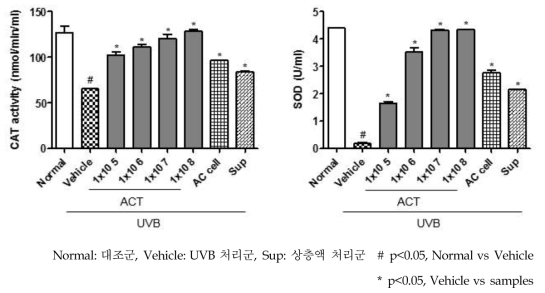 항산화 효소의 활성