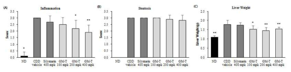 GM-T의 콜린결핍식이 마우스에서 간 염증, 지방간 개선효과