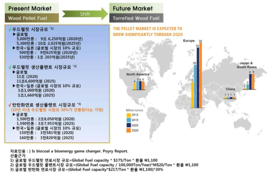 글로벌 반탄화연료 시장전망