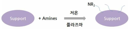 플라즈마 중합에 의한 아민기 고정화 모식도