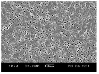 PDLC cell의 고분자 매트릭스 표면의 SEM 사진