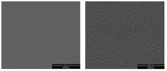 투명 OLED Mg:Ag cathode SEM 표면 이미지