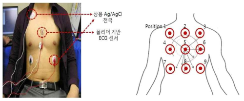 (a) 상용 전극의 부착 위치 (b) 폴리머 기반 ECG 센서의 부착위치