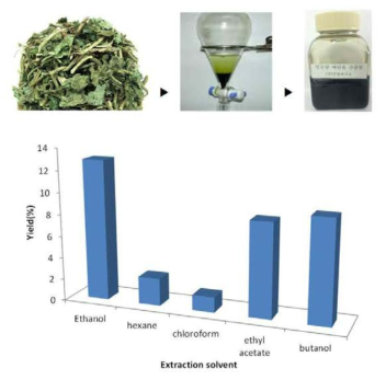 영릉향 추출 및 추출 용매에 따른 수율 비교