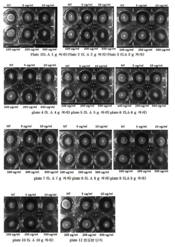 lipid nanoparticle제형물의 벼 도열병균의 균사성장억제효과(mycelial growth inhibitory effect) 시험