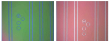 Photolithography 공정(Stripe 패턴 형성).