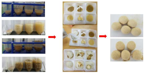 스피노섬과 코토니를 활용한 미생물 세라믹담체 샘플 제조