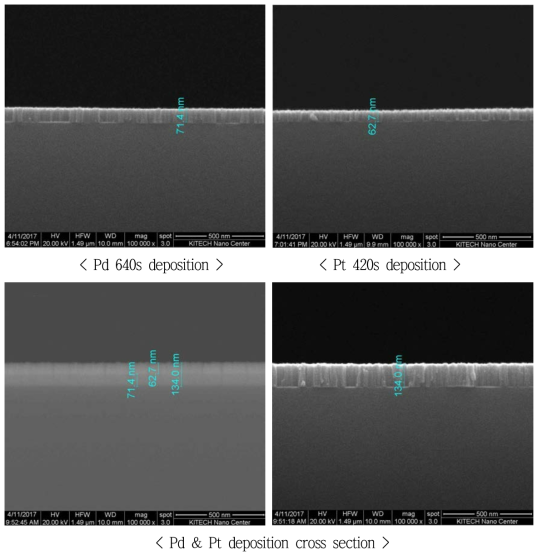FE-SEM을 이용한 팔라듐 & 백금 두께 측정 결과