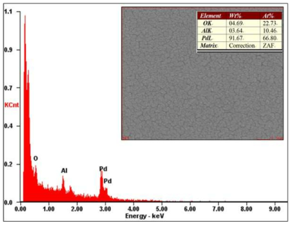 EDS를 이용한 팔라듐 & 백금 성분 분석