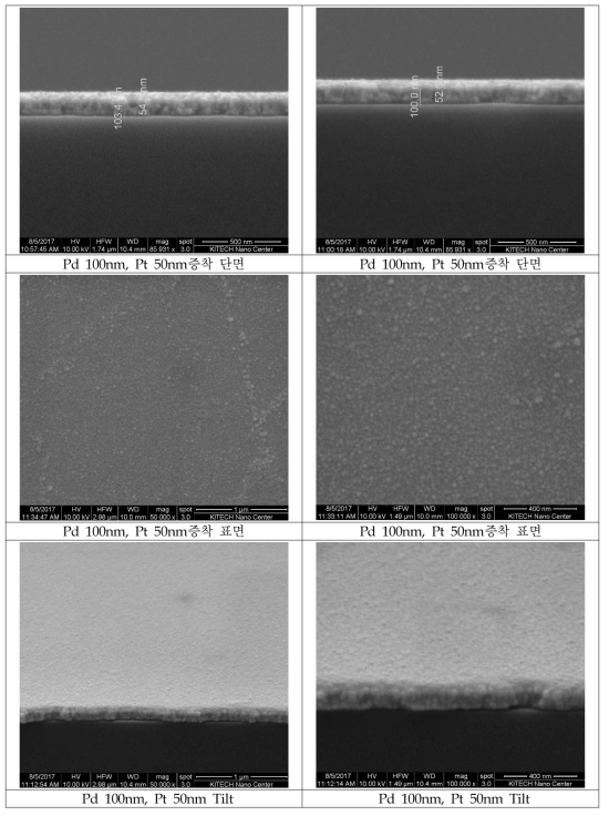 FE-SEM을 이용한 팔라듐(100nm) & 백금(50nm) 박막 두께 측정 결과