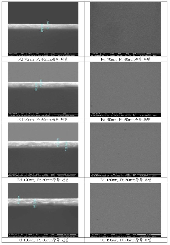 팔라듐 두께 변화에 따른 FE-SEM 이미지
