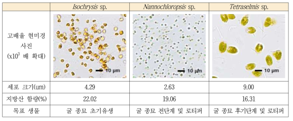 선정된 사료원료 일반식물플랑크톤의 세포 크기 및 지방산 함량