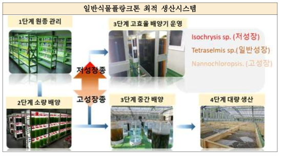 일반식물플랑크톤 종 및 단계별 최적 생산시스템