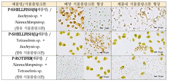 배양 식물플랑크톤 VS 개발 액상사료 내 식물플랑크톤의 콜로이드화 안정성 비교