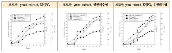 마이크로 버블형 배양기를 이용한 스키조키트리움 속 SH103의 복합 영양원 유가식 배양