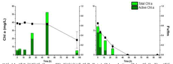 대조군(좌)과 Green TD 첨가(우)에 따른 Total Chl.a, Active Chl.a 및 Fv/Fm 변동