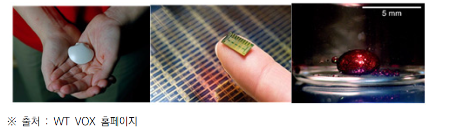 Implantable wearables