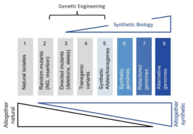 유전공학과 synthetic biology