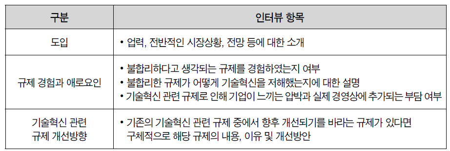 심층인터뷰 항목