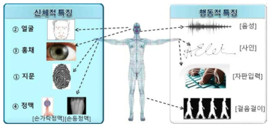 생체인식에 활용되는 신체적, 행동적 특징