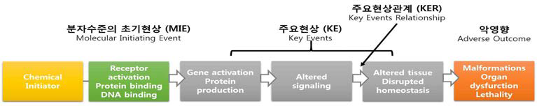 Adverse Outcome Pathway(AOP)의 예시와 핵심 구성요소