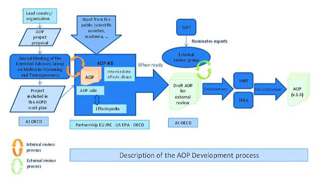 AOP의 개발 과정