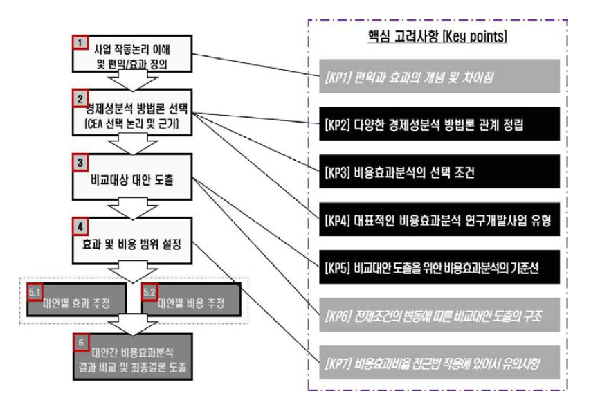 R&D부문 예비타당성조사의 비용효과분석 절차(안) 및 핵심 고려사항