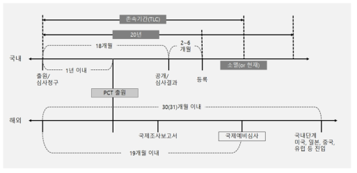 특허 존속기간(TLC)의 개념