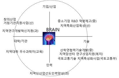 자기주도형 지역R&D 사업의 Brain 조직의 위상