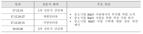 전문가 간담회 및 인터뷰