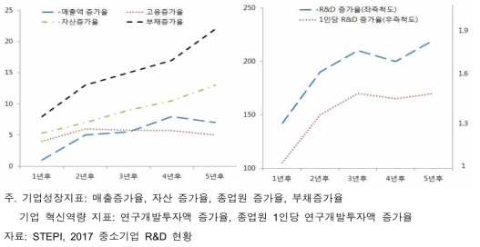 정부 R&D 지원이 기업의 성장성과 혁신성에 미치는 효과