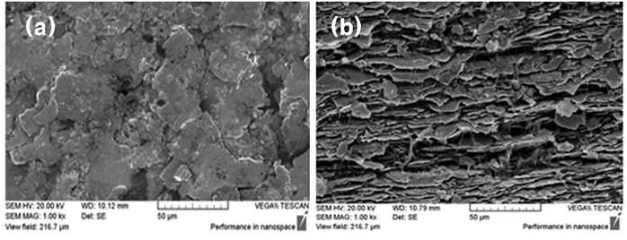 SEM micrographs of (a) surface of sheet (b) side of sheet