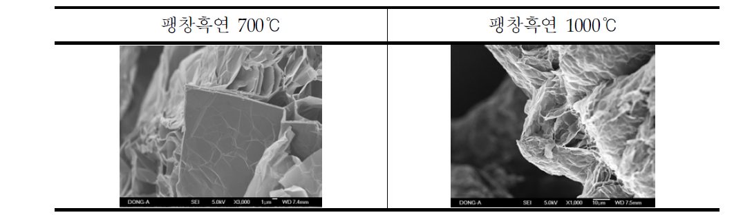 E-Gr/pAO ( 700℃, 1000℃) SEM 이미지 분석