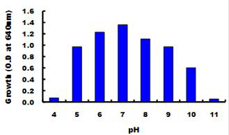 pH에 따른 Lactobacillus brevis BJ-20 생육도